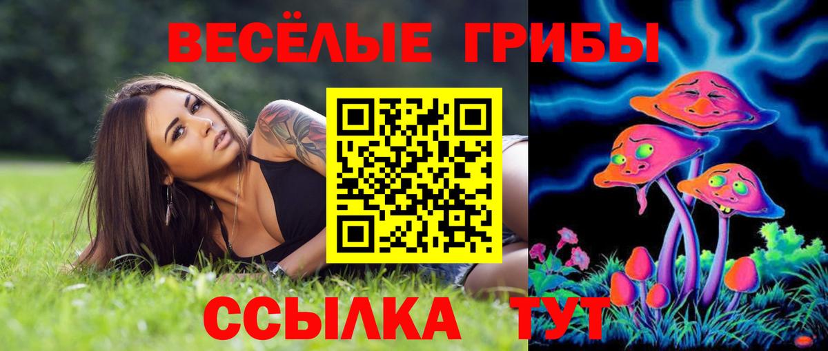 Кузнецк  Псилоцибиновые грибы MAGIC MUSHROOMS  Вход с VPN 